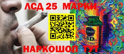 стаф Кимры